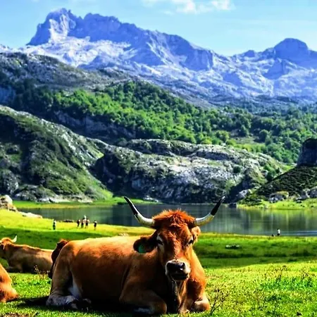 El Cuadro De Llanes Vibano