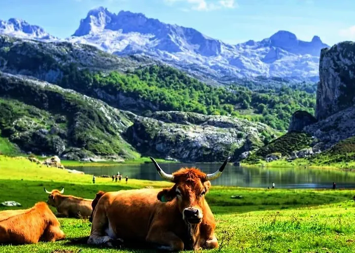 El Cuadro De Llanes Vibano